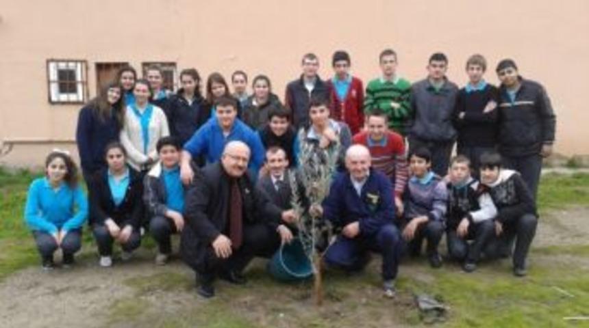 Şark&ouml;y Lisesi &Ouml;ğrencileri Zeytin Dikti
