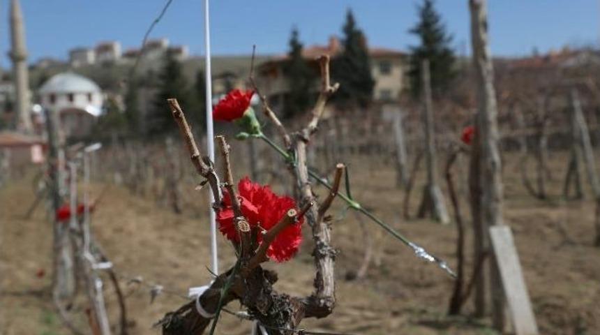 402 Şehit Merhamet Bekliyor