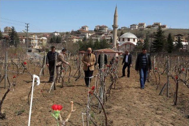 402 Şehit Merhamet Bekliyor 1