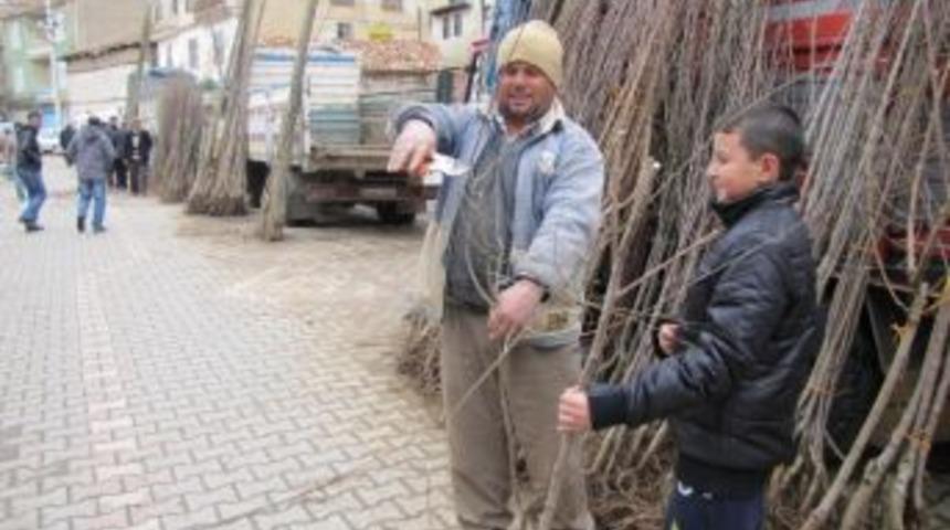 Fidan Satıcıları Dertli