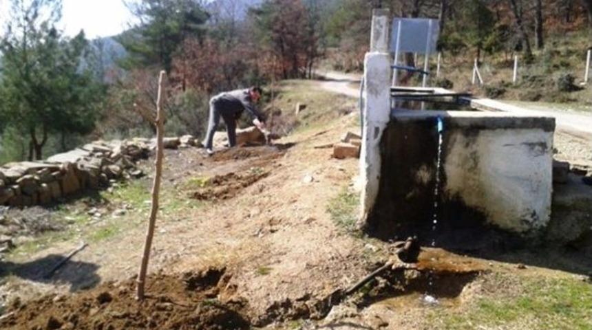 &Ccedil;eşme Başlarına Meyve Fidanı Dikimi Devam Ediyor