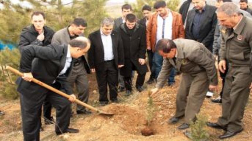 Elazığ'da Şehitler Anısına 300 Fidan Dikildi