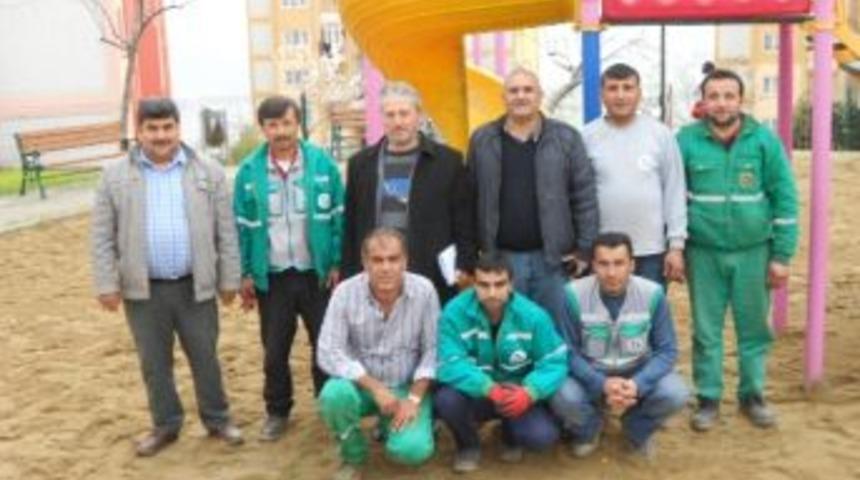 Parklarda Bahar Bakımı