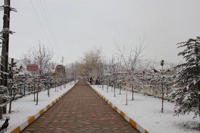 Oltu Haftaya Karla Başladı 2