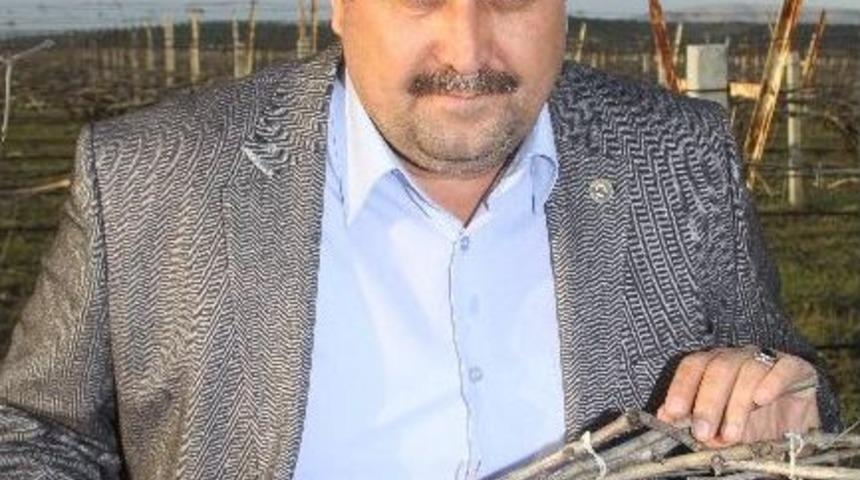 Saruhanlı'da Dolu Hasar Tespiti Yapıldı