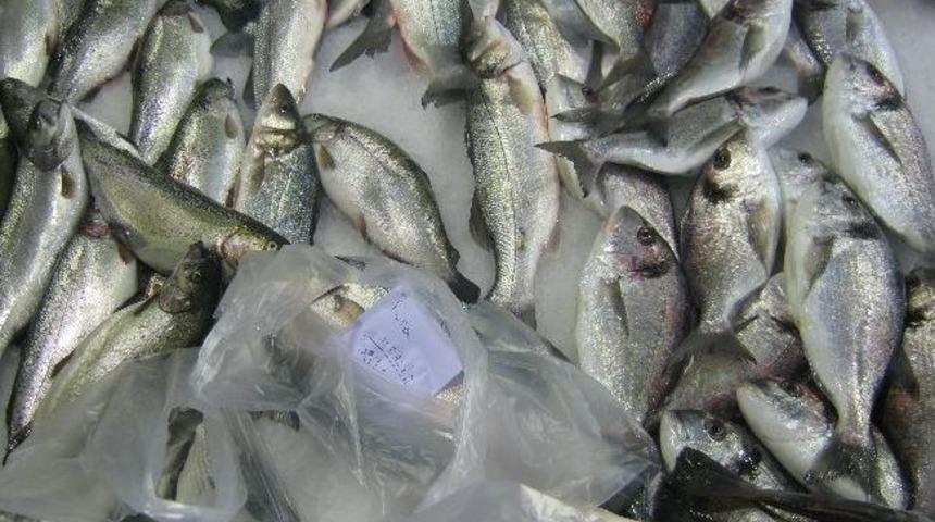 Saruhanlı'da Balık Ve Gıda Maddesi Satan Yerler Denetlendi