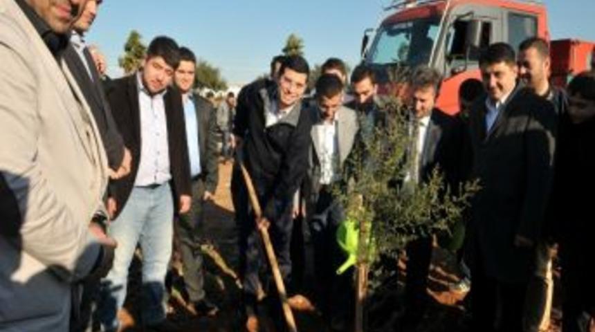 Antalyalı Şehitlerin Anısına 2132 Fidan