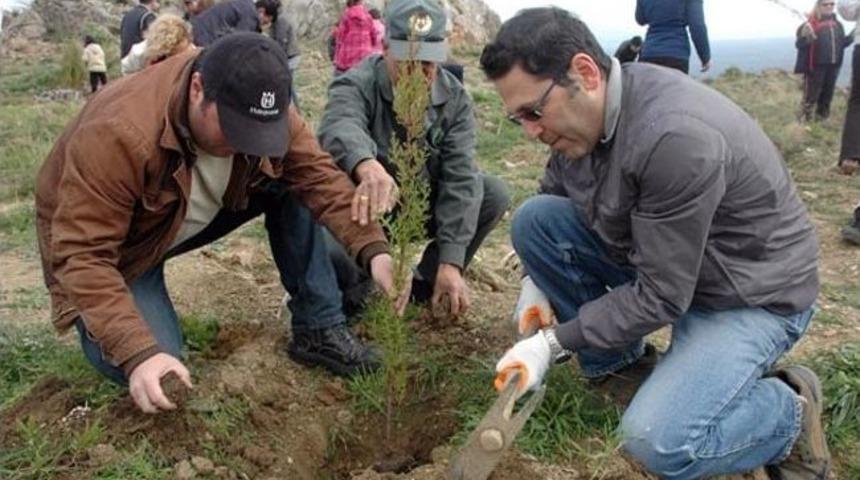 Dat&ccedil;a&rsquo;da Ağa&ccedil;landırma &Ccedil;alışması