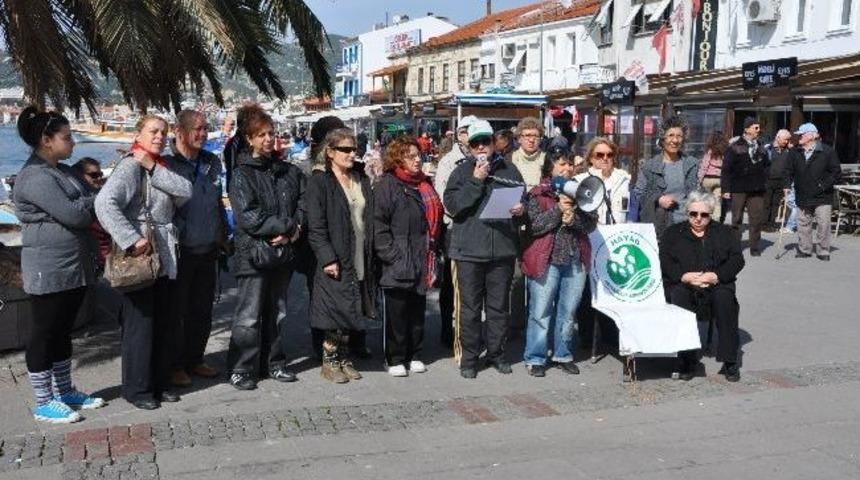 Fo&ccedil;a'da Sokak Hayvanlarının Zehirlenmesi Protesto Edildi