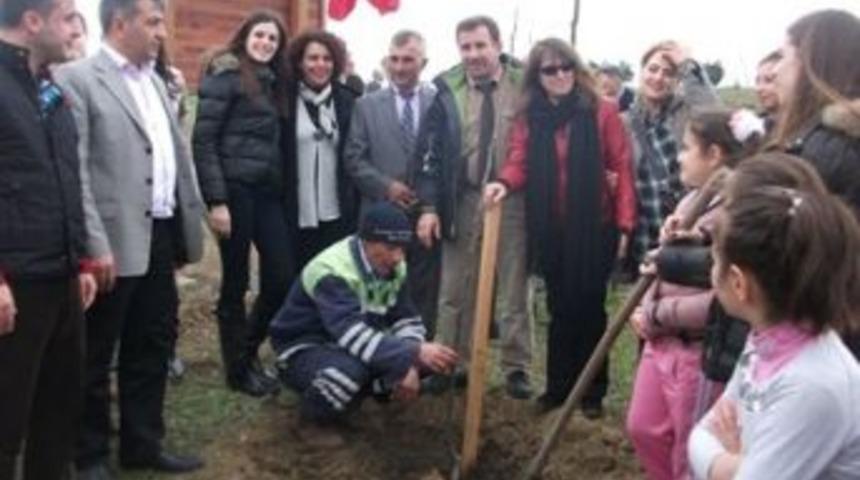 Cevizlerden gelecek gelirle &ccedil;ocuklar okuyacak