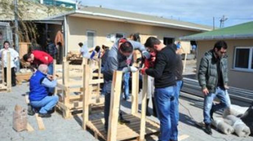 G&ouml;n&uuml;ll&uuml; Vatandaşlar, Hayvanlar İ&ccedil;in Barınak Kul&uuml;beleri Yaptı