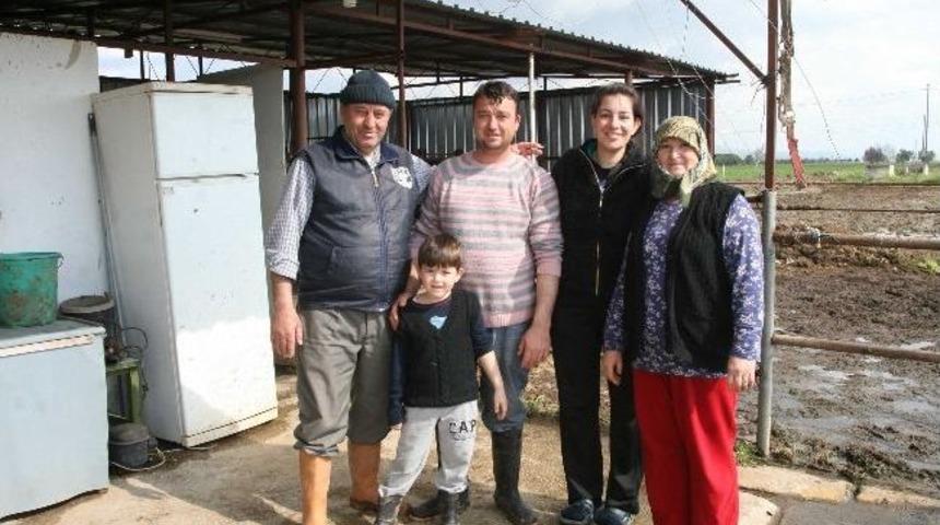 &Uuml;&ccedil;&uuml;z Doğuran İnek Şaşırttı