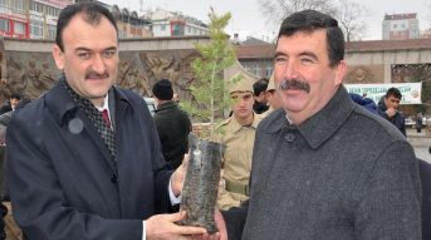 &Ccedil;anakkale'deki 771 Kayserili Şehit I&ccedil;in Fidan Dağıttılar