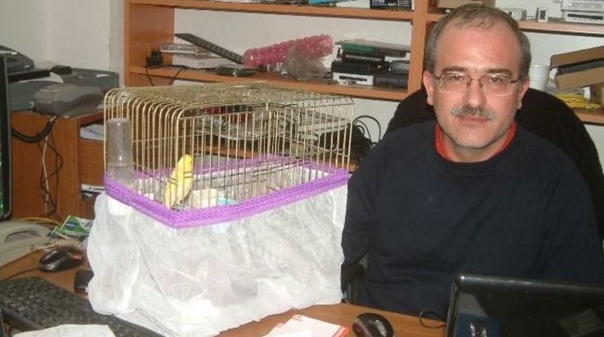 Burhaniyeli Bilgisayarcının Kanarya Tutkusu