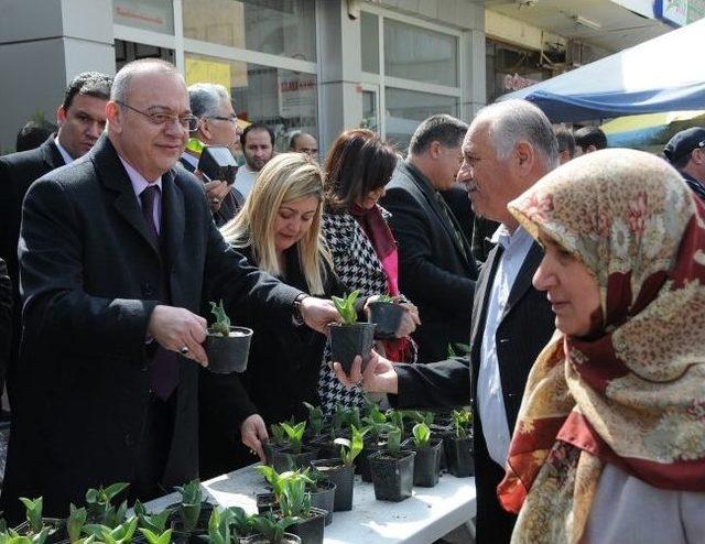 Başkan Ergün, Karaköy’de Lale Soğanı Dağıttı