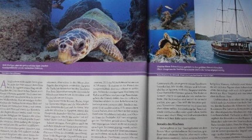 Dış Basında Kemer