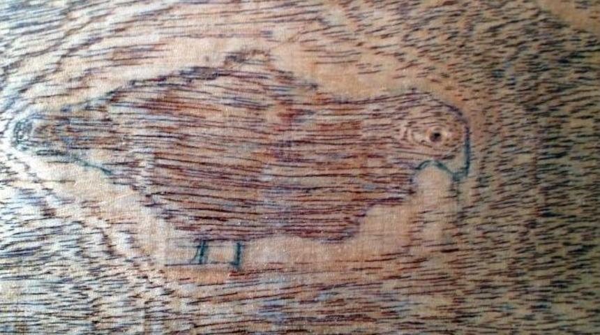 Ağa&ccedil;taki Kuş Fig&uuml;r&uuml; Dikkat &Ccedil;ekiyor