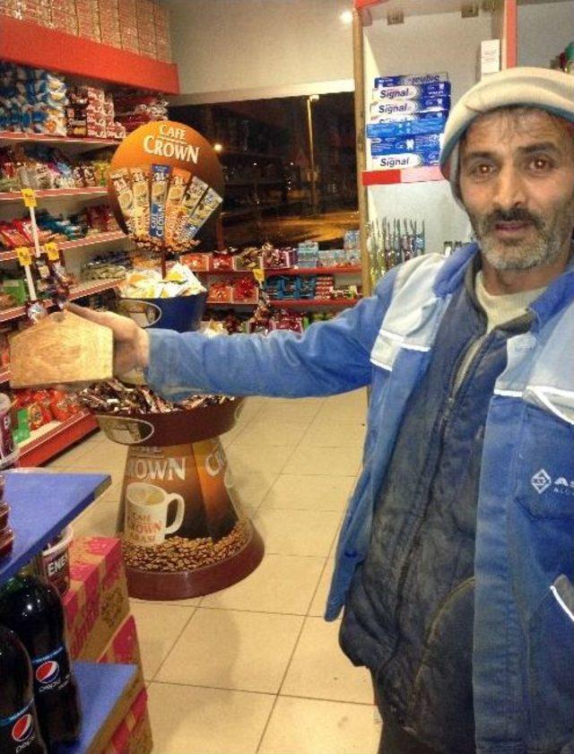 Ağa&ccedil;taki Kuş Fig&uuml;r&uuml; Dikkat &Ccedil;ekiyor 1