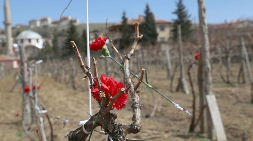 &Ccedil;anakkale Kahramanlarının Kabrine, Kayseri'nin Ilk Şehitliğine Vefa &Ccedil;ağrısı