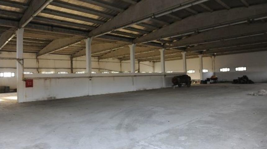 Dağ Y&ouml;resinde Ekonomik D&ouml;n&uuml;ş&uuml;m Başlıyor