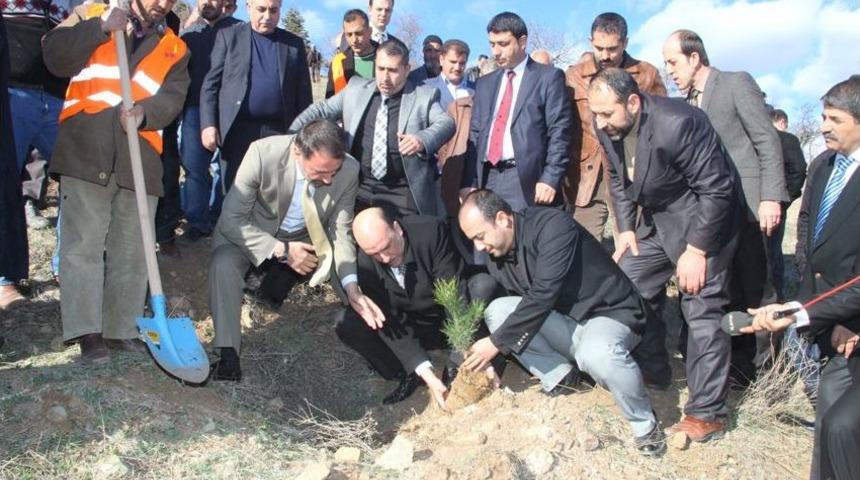 Eski Belediye Başkanı Yanılmaz Anısına Hatıra Ormanı Oluşturuldu