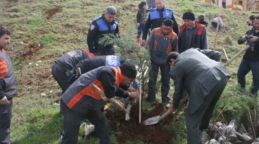 Polis İle Site Y&ouml;netimi İşbirliği İle Fidan Dikildi