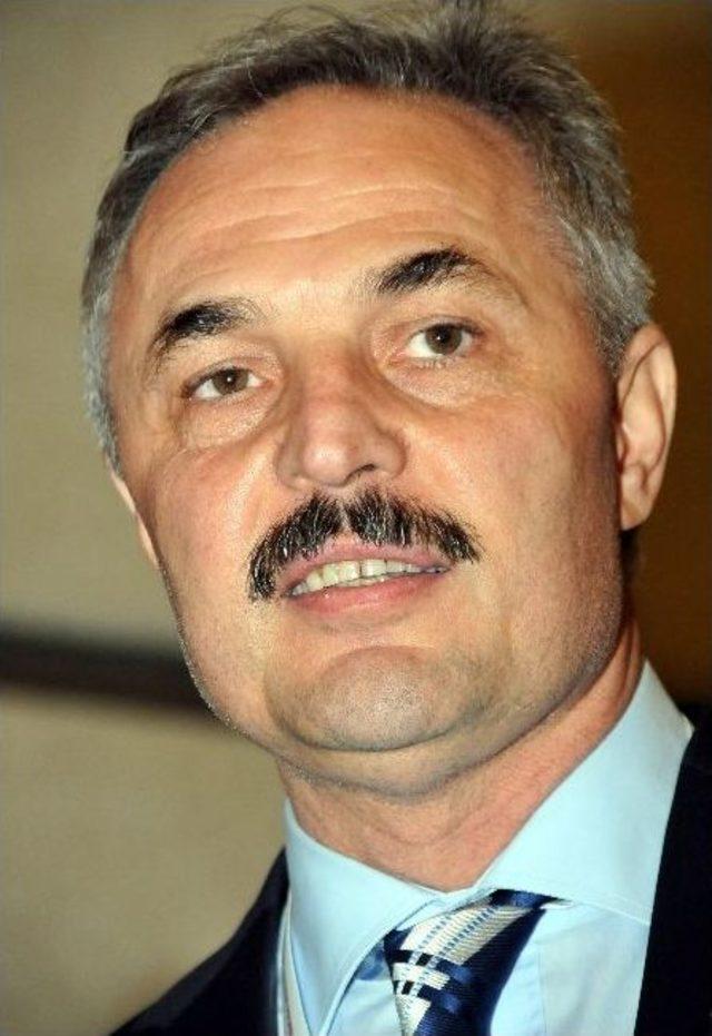 Halter de Kritik Karar 2