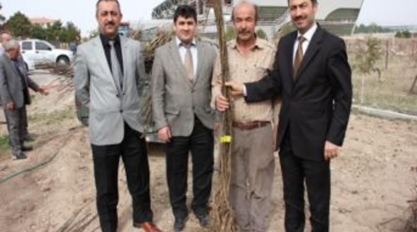 Nevşehir&rsquo;de &Uuml;reticilere Ceviz Ve Armut Fidanı Dağıtıldı
