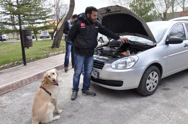 Afyonkarahisar'da Bir Yılda 5 Milyon TL'lik Uyuşturucu Ele Geçirildi