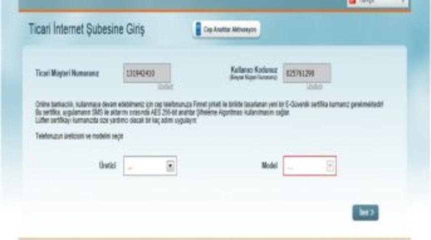 İnternet &Uuml;zerinden Banka Hesaplarını Boşaltan &Ccedil;eteye &Ccedil;&ouml;kertildi