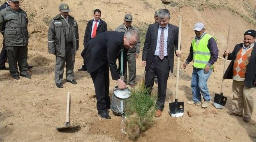 Denizli Belediyesi 500 Bin Fidanı Toprakla Buluşturuyor