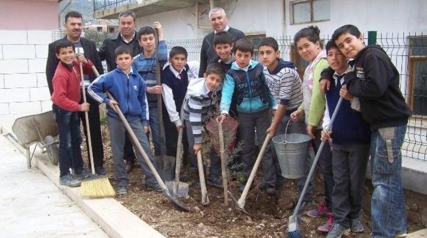 &Ouml;ğrenciler Okul Bah&ccedil;esine Fidan Dikti