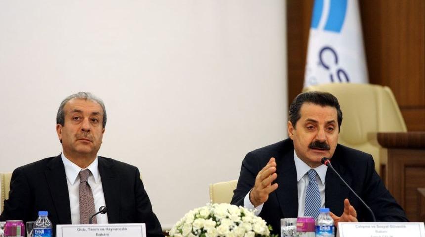 &Uuml;niversiteli &Ccedil;obanlar Yolda
