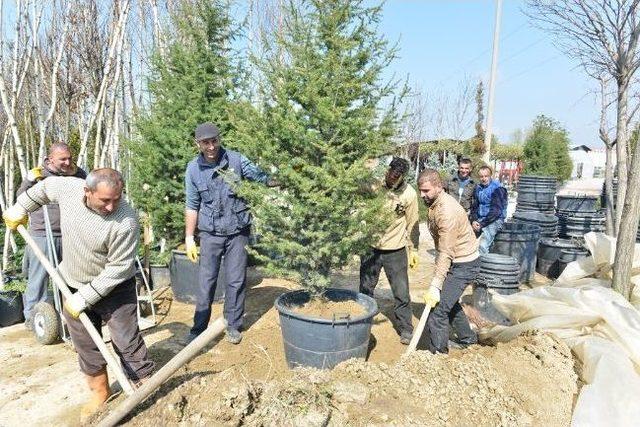 İnegöl Belediyesinden Süleymaniye Mahallesine Semt Sahası