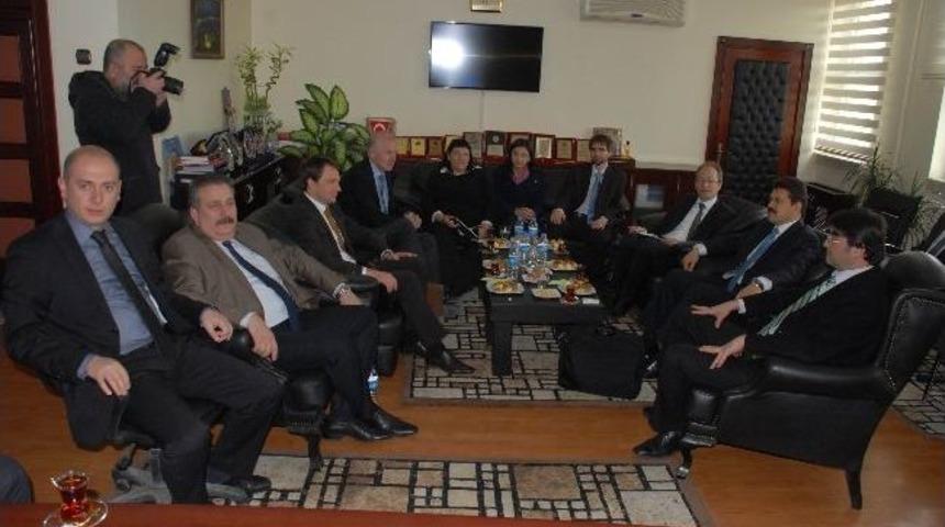 Geliştirilmiş Bilirkişilik Sistemi Projesi