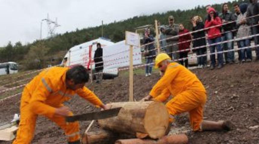 Artvin&rsquo;de Ormancının Survivor&rsquo;ı