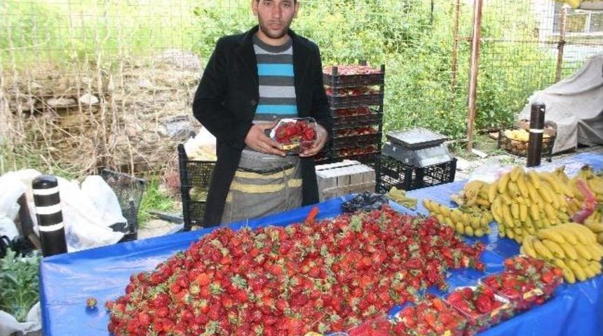 Aydın&rsquo;da Bahar Meyve Ve Sebzeleri Tezgahlardaki Yerlerini Aldı