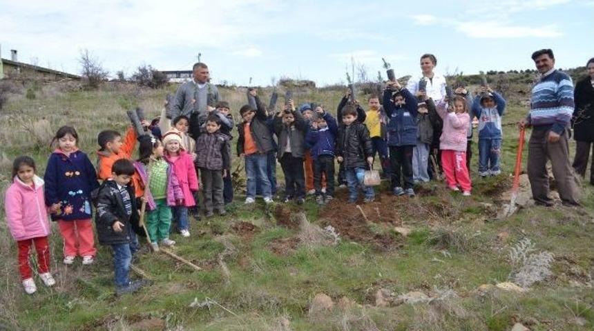 Minik Eller Fidan Dikti