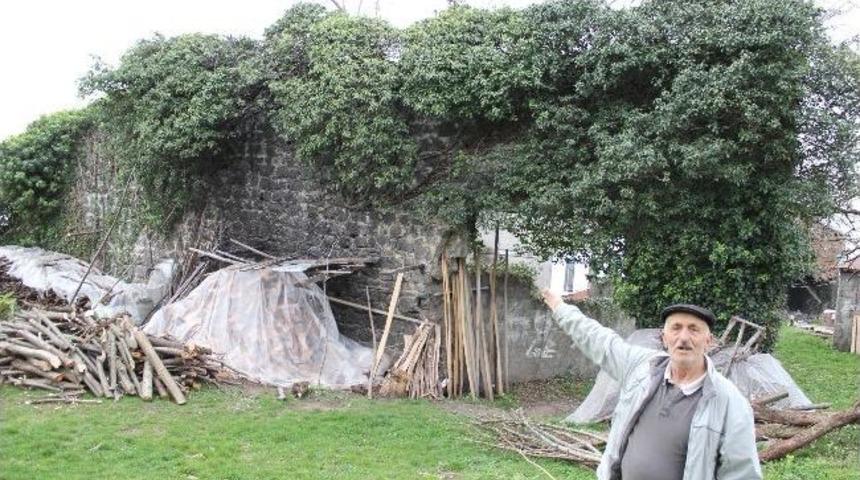 Giresun&rsquo;un G&ouml;rele İl&ccedil;esindeki Tarihi Konak İlgi Bekliyor