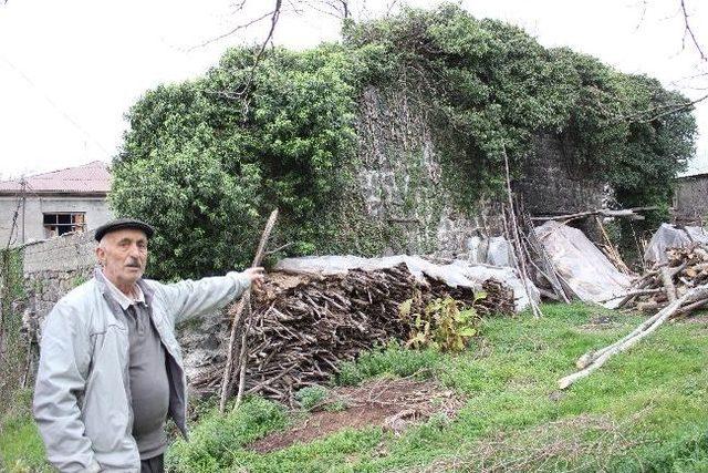 Giresun&rsquo;un G&ouml;rele İl&ccedil;esindeki Tarihi Konak İlgi Bekliyor 2