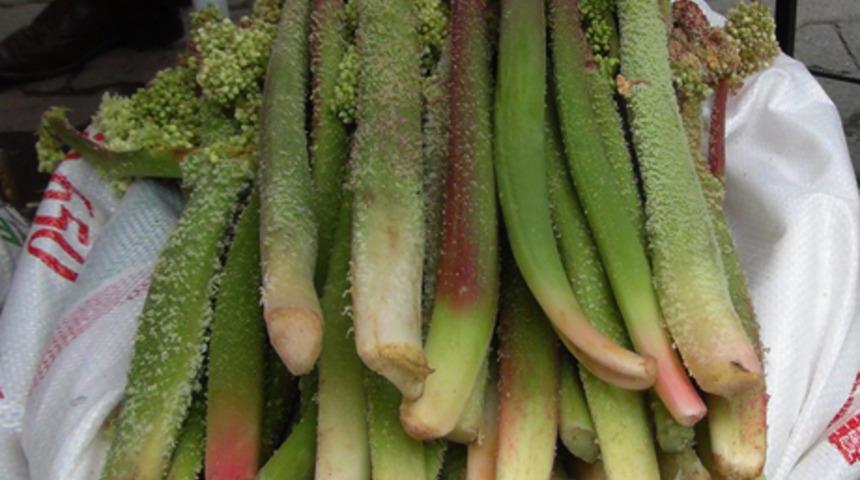 Doğal ila&ccedil;: 'yayla muzu'