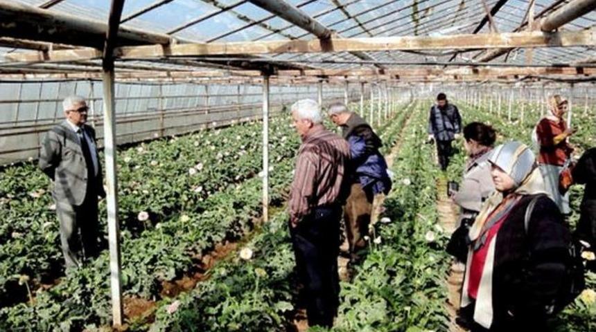 Dalamalı &Uuml;reticiler İzmir&rsquo;de &Ccedil;i&ccedil;ek&ccedil;iliği Yerinde G&ouml;rd&uuml;