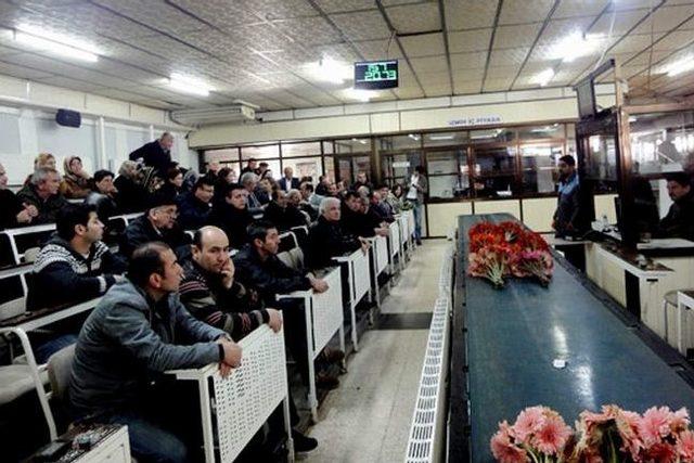 Dalamalı &Uuml;reticiler İzmir&rsquo;de &Ccedil;i&ccedil;ek&ccedil;iliği Yerinde G&ouml;rd&uuml; 1