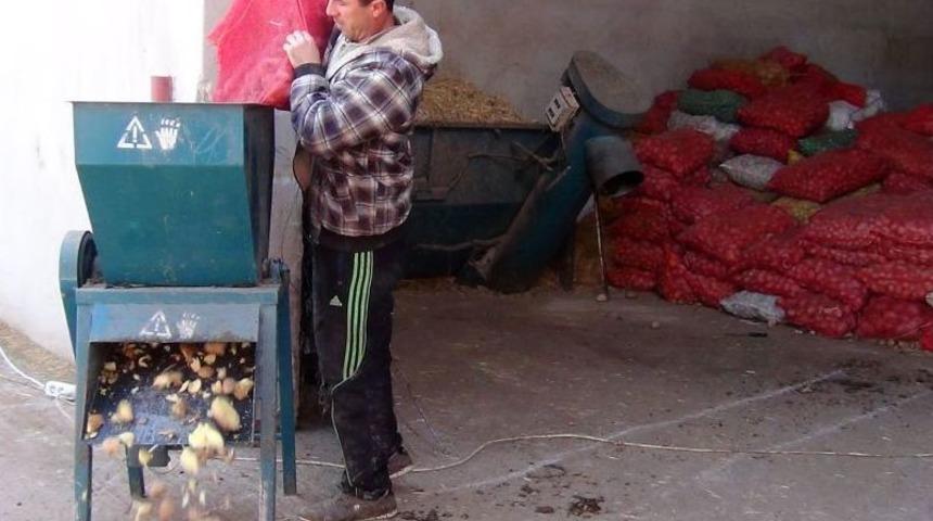 Saman Sıkıntısı &Ccedil;eken Besiciler Hayvanlarını Patatesle Doyuruyor