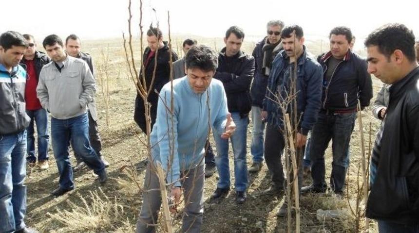 Van&rsquo;da Tarım Elemanlarına Uygulamalı Eğitim