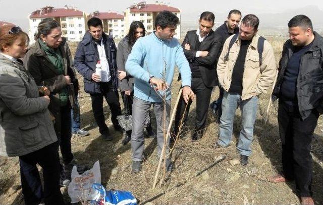 Van’da Tarım Elemanlarına Uygulamalı Eğitim