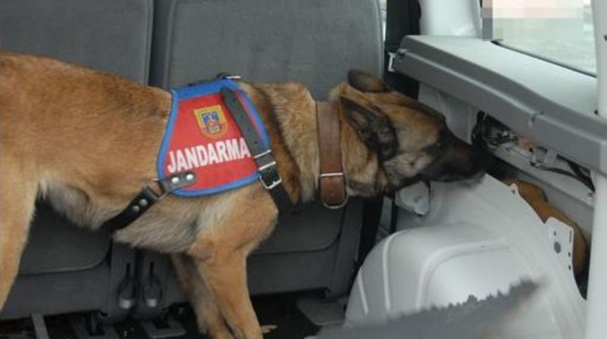 Jandarma Şifreyi &Ccedil;&ouml;zd&uuml;, Zehir Tacirleri &lsquo;hastaneye Gidemedi&rsquo;