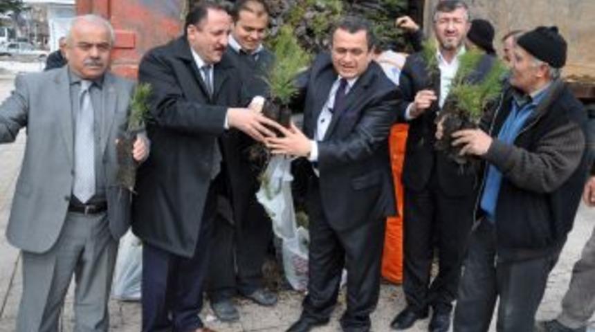 Kazan&rsquo;da 12 Bin 500 Fidan Toprakla Buluştu