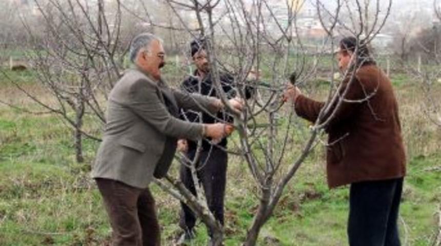 Suşehri&rsquo;nde Ağa&ccedil; Budama Kursları Devam Ediyor