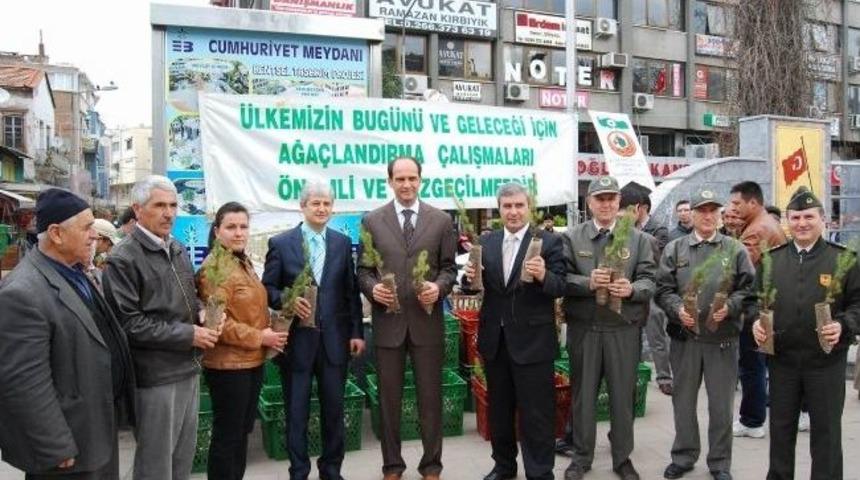 Edremit Orman M&uuml;d&uuml;rl&uuml;ğ&uuml; Halka &Uuml;cretsiz Fıstık &Ccedil;amı Dağıtı